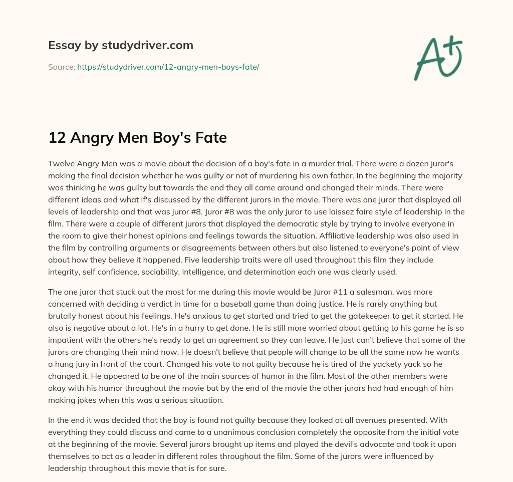12 Angry Men Boy’s Fate essay