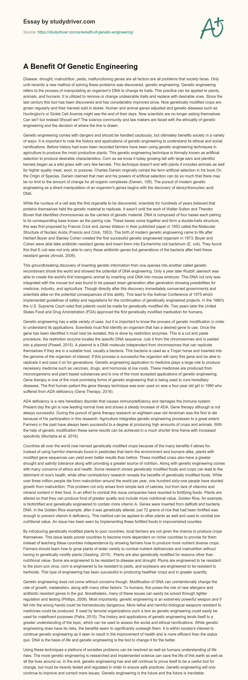A Benefit of Genetic Engineering essay