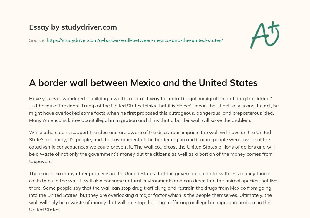 A Border Wall between Mexico and the United States essay