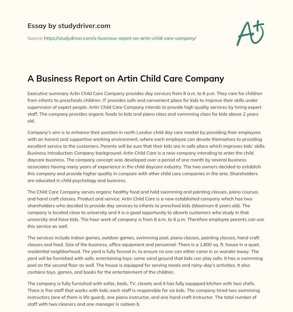 A Business Report on Artin Child Care Company essay