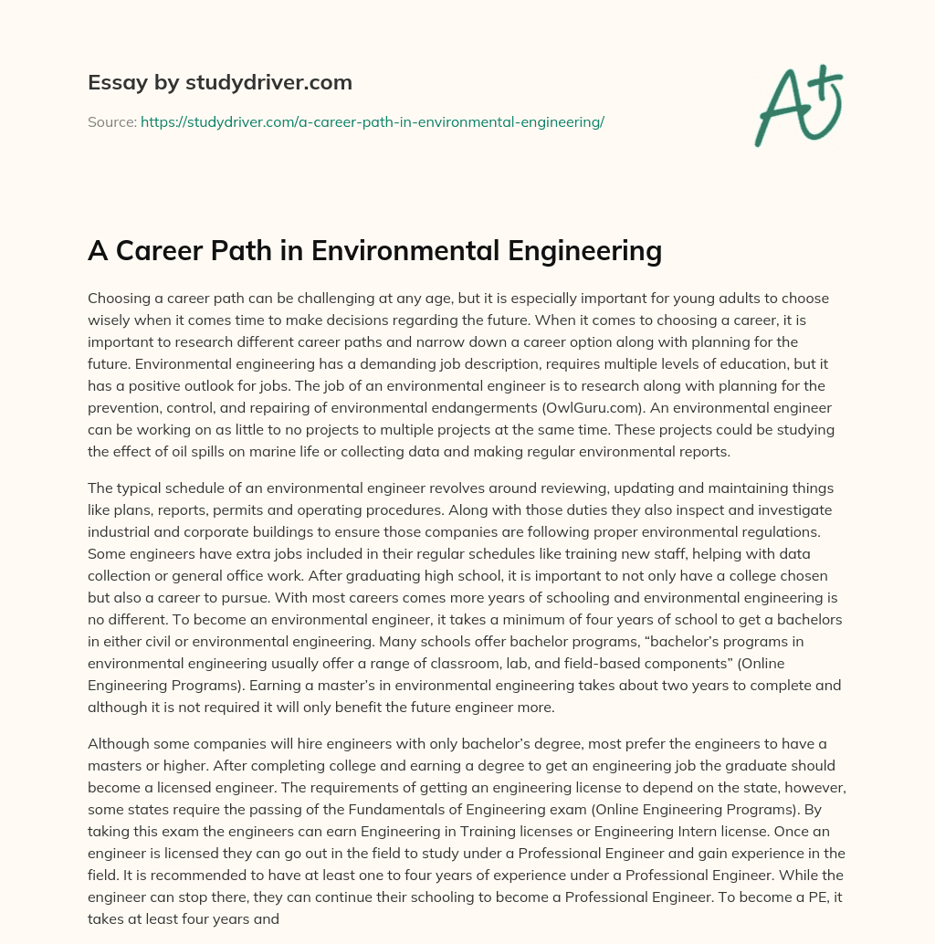 importance of environmental engineering essay