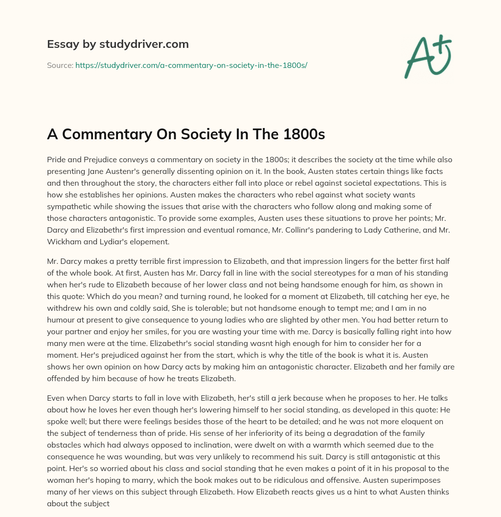 A Commentary on Society in the 1800s essay