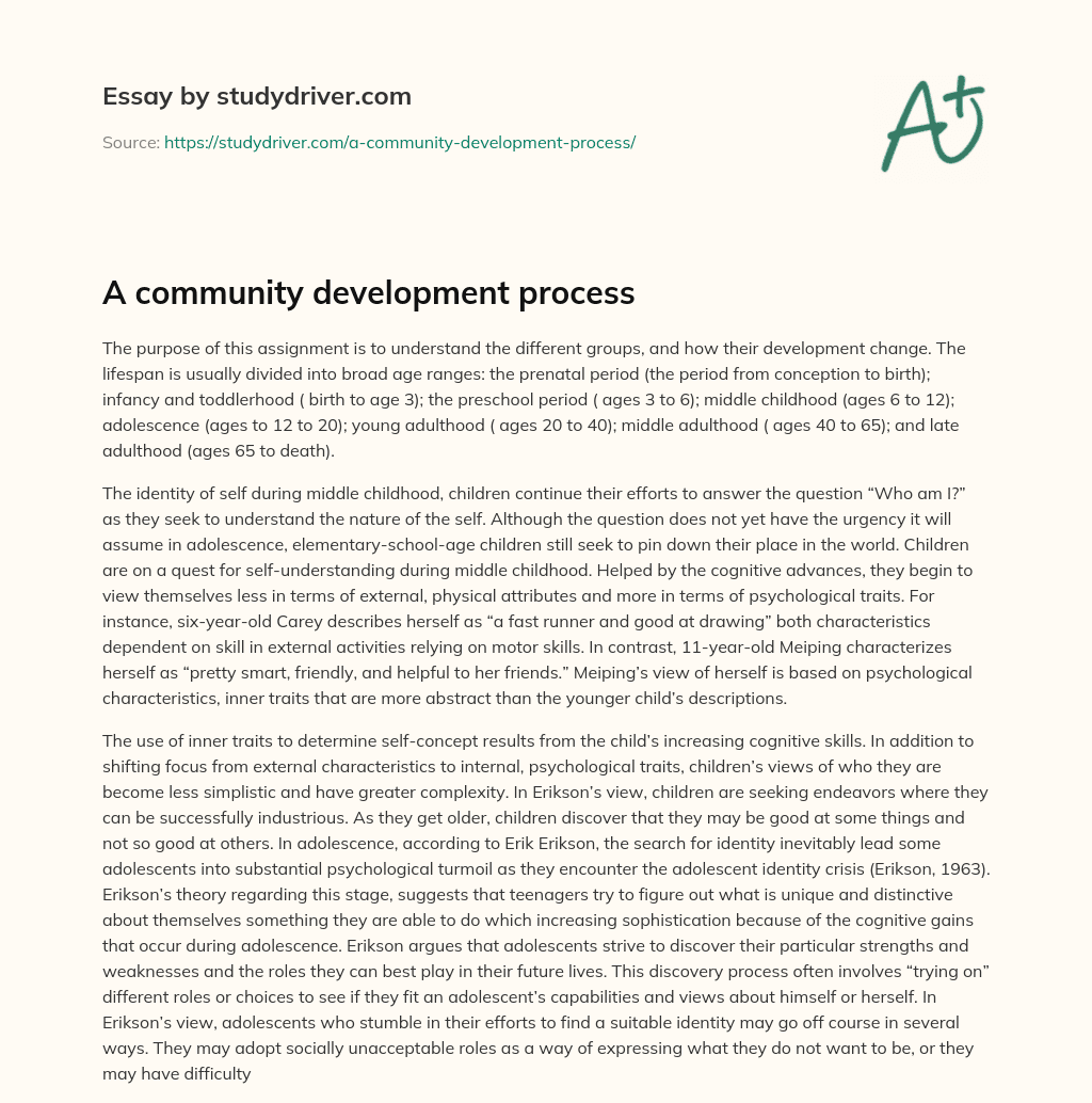 A Community Development Process essay