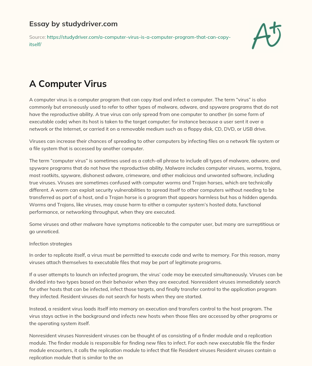 A Computer Virus essay