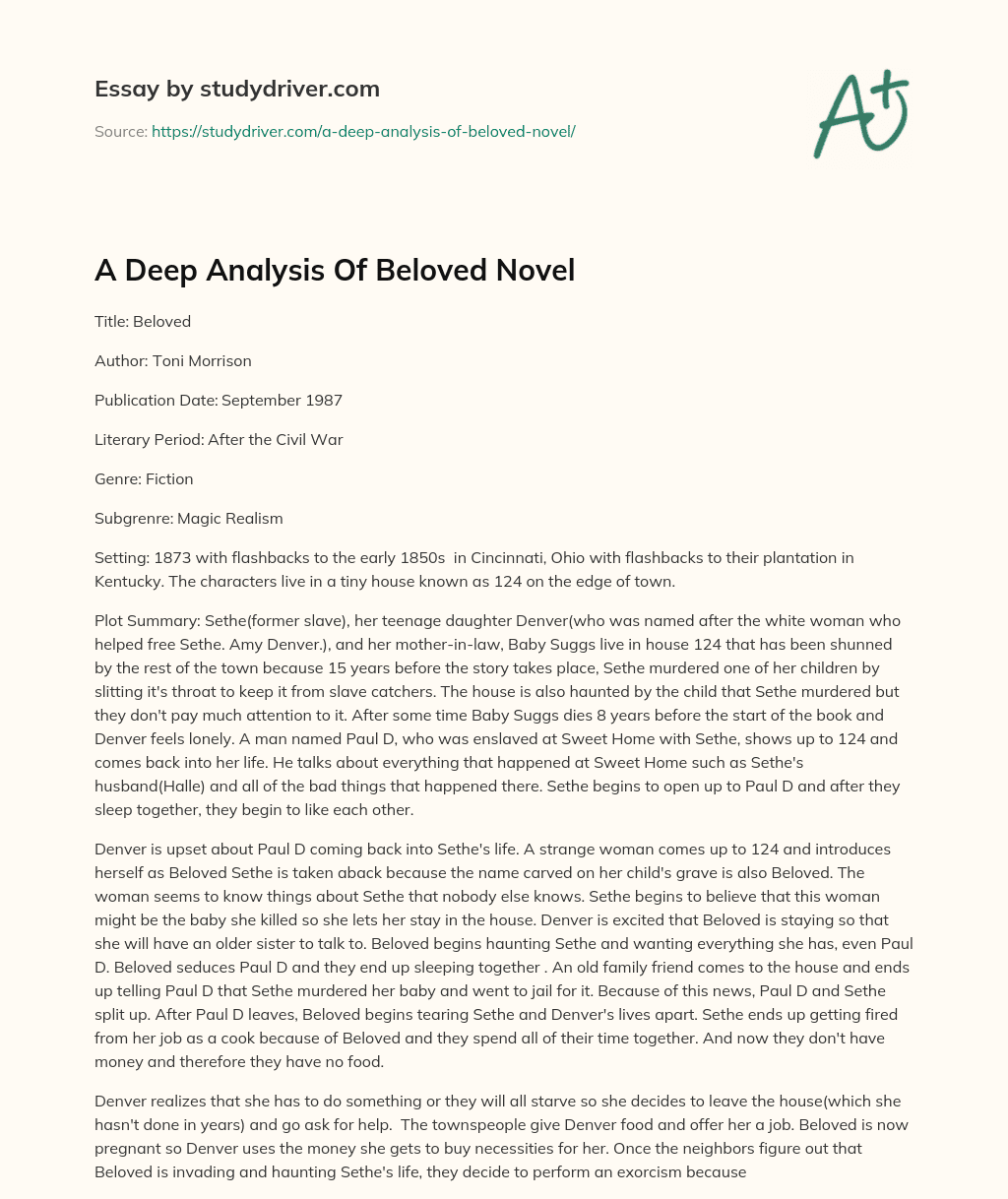 A Deep Analysis of Beloved Novel essay