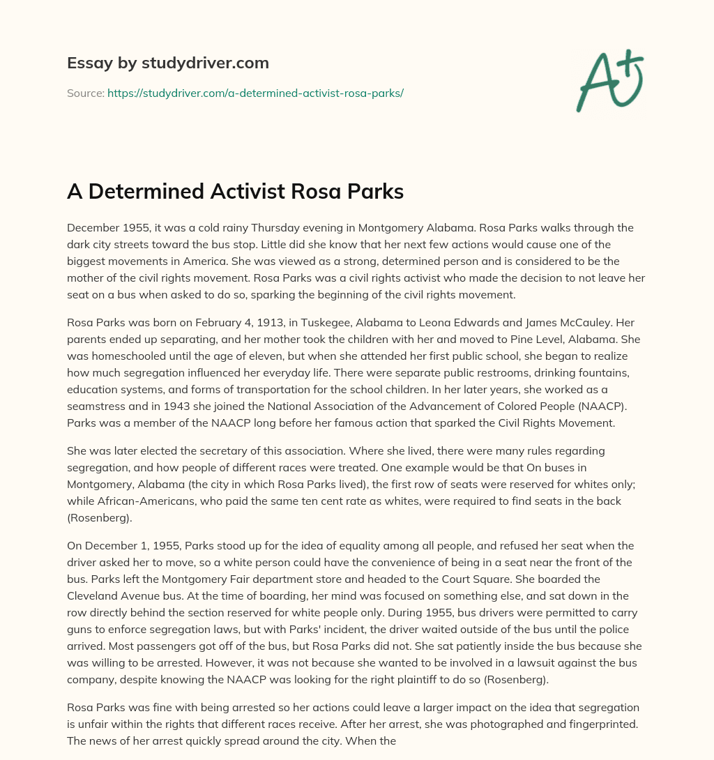 A Determined Activist Rosa Parks essay