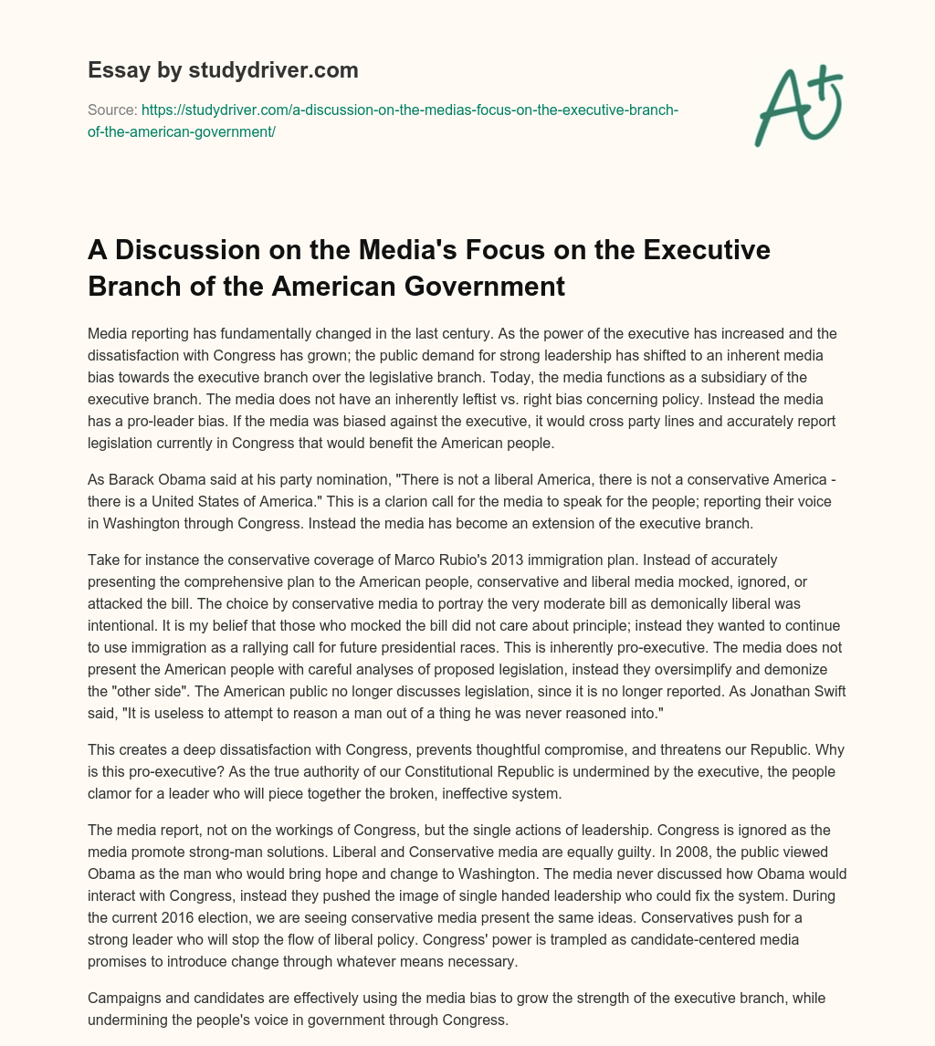 A Discussion on the Media’s Focus on the Executive Branch of the American Government essay