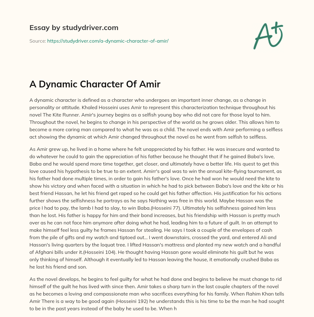 A Dynamic Character of Amir essay