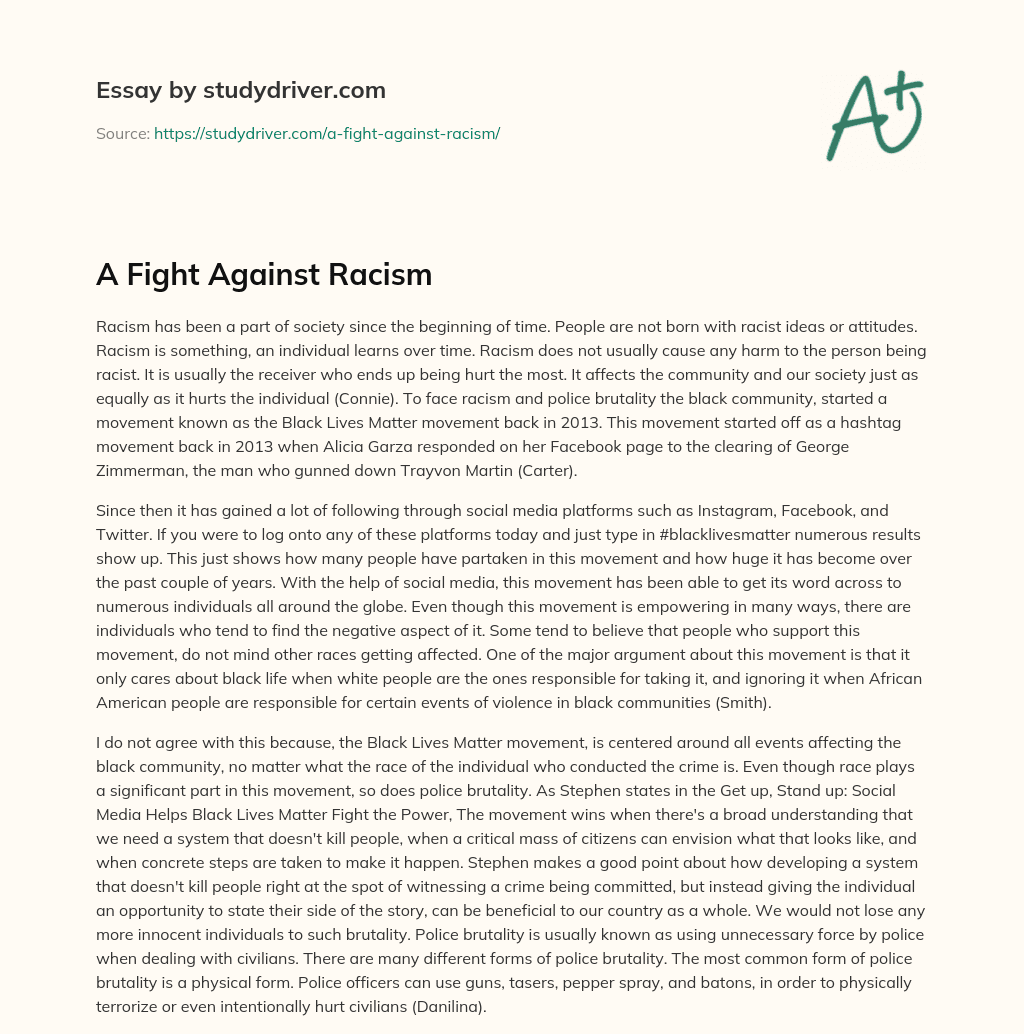 A Fight against Racism essay