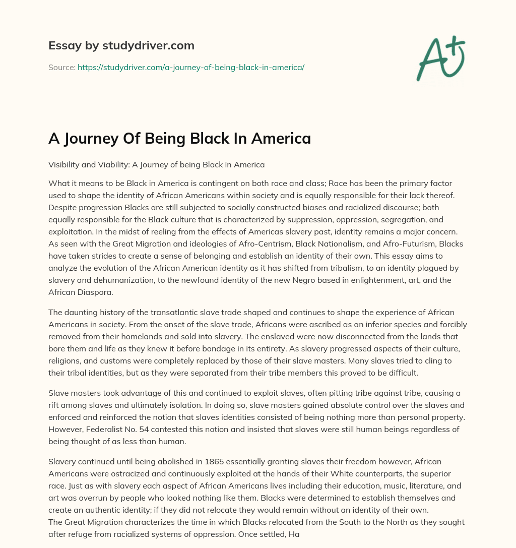 A Journey of being Black in America essay