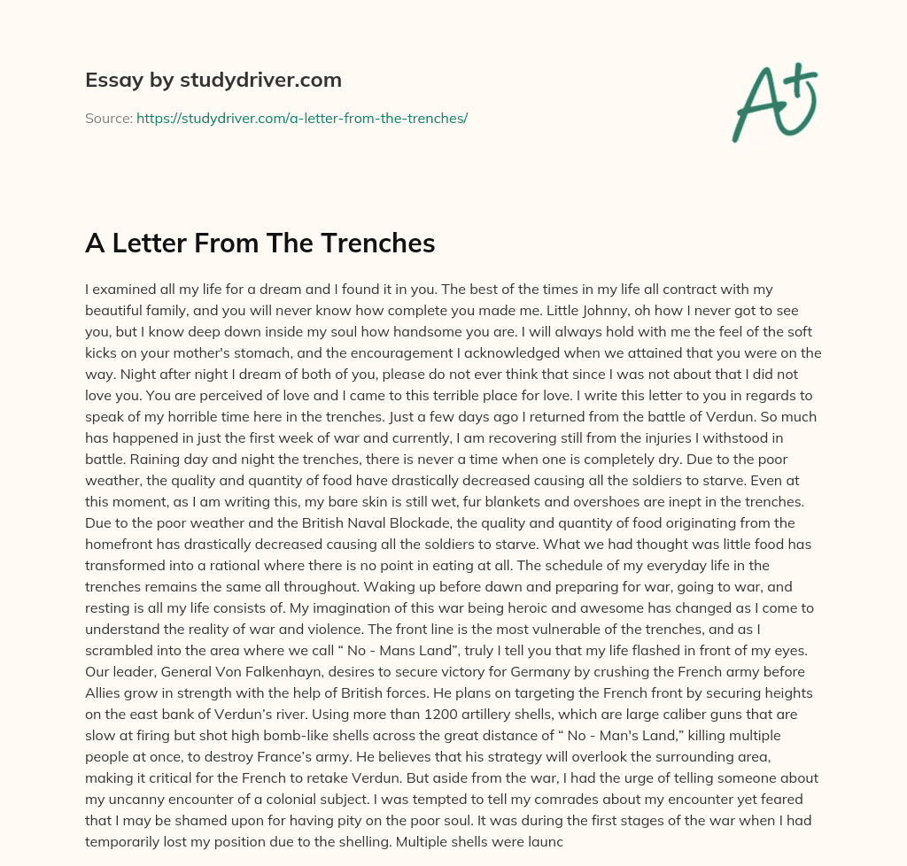 A Letter from the Trenches essay