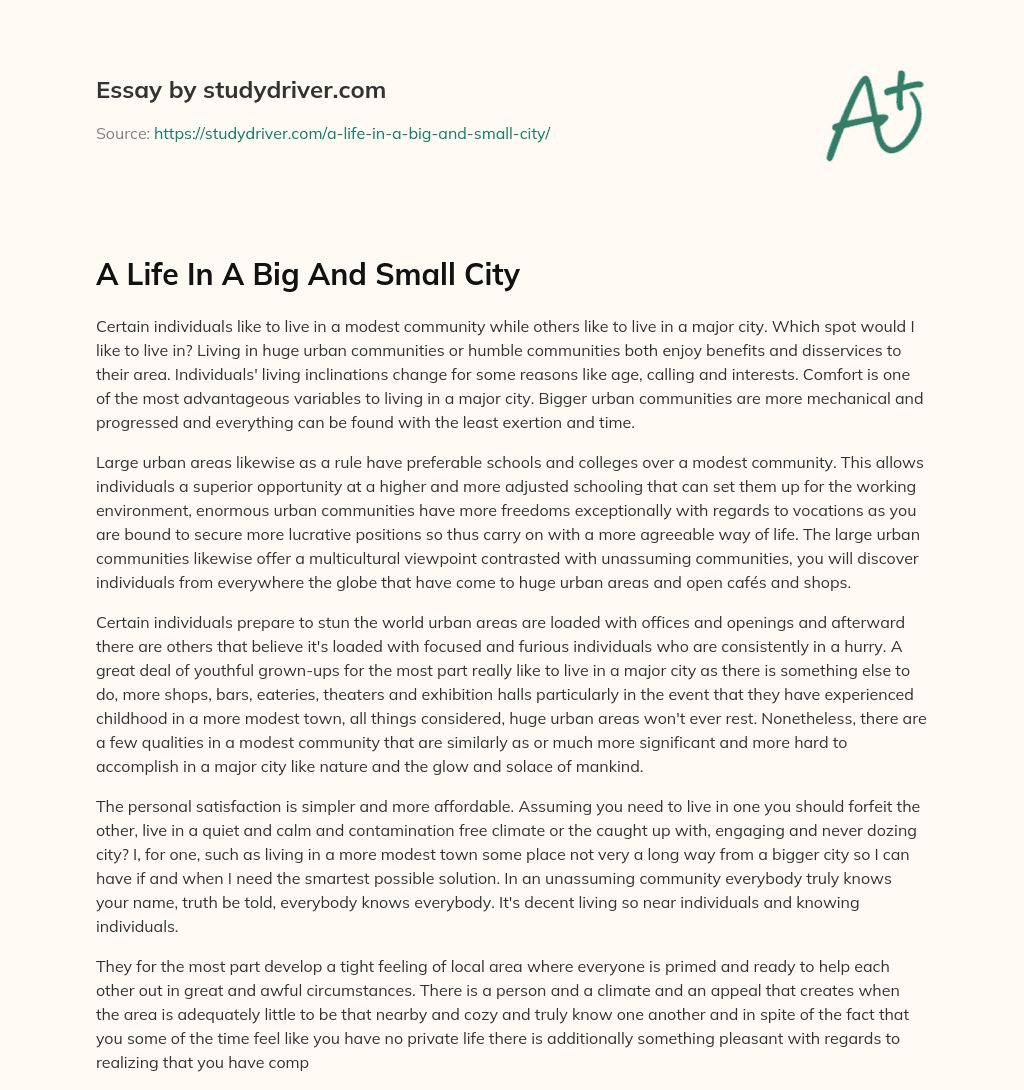 A Life in a Big and Small City essay