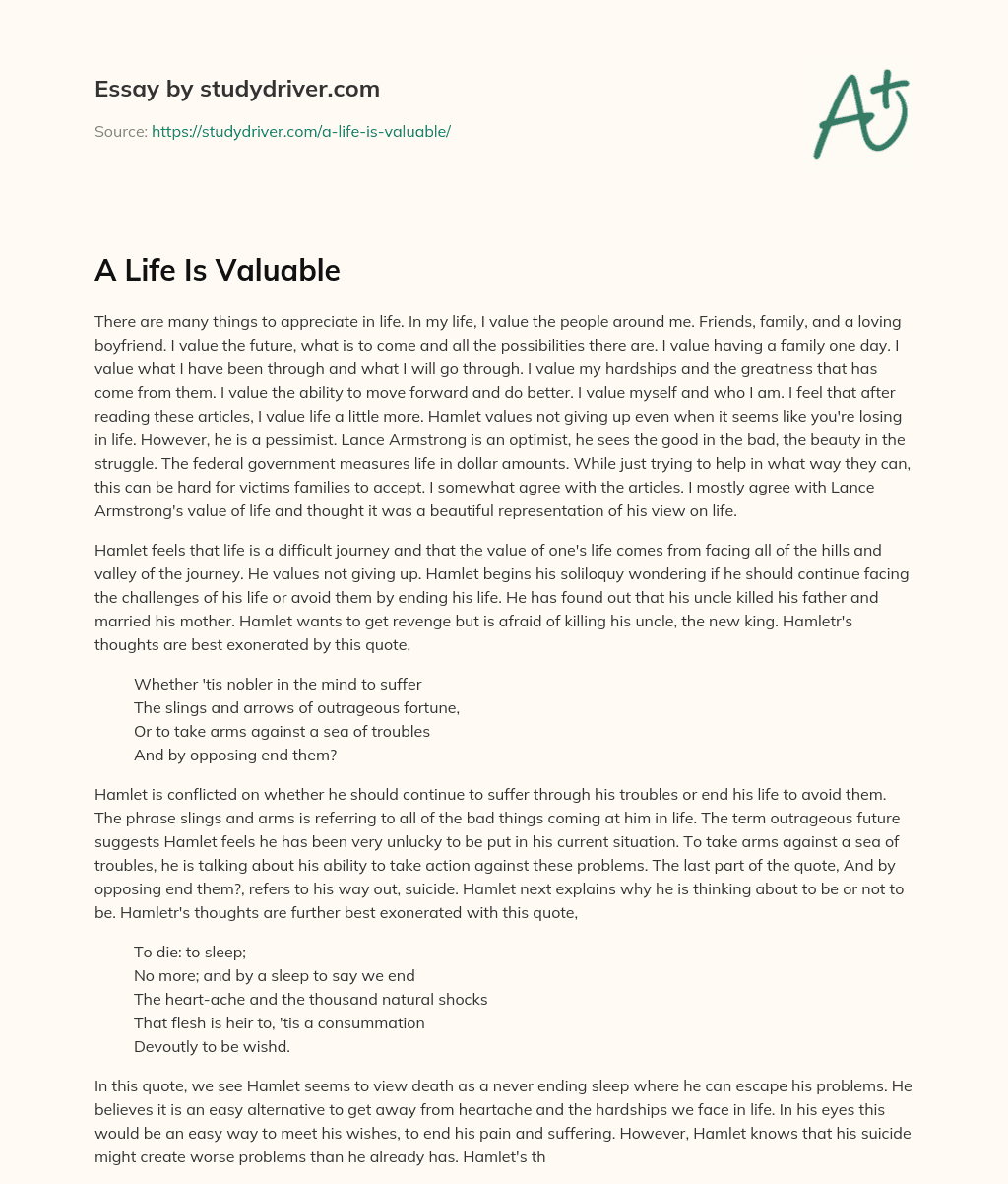 A Life is Valuable essay