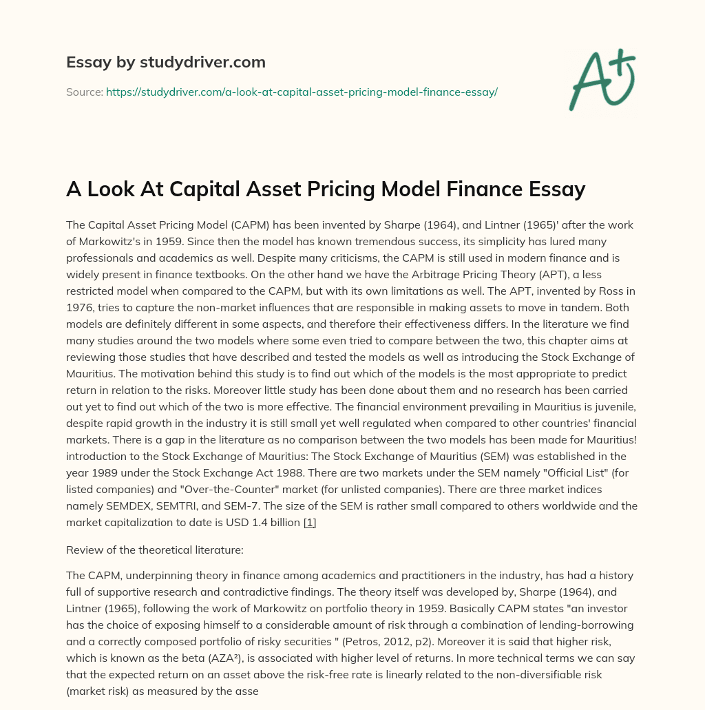 A Look at Capital Asset Pricing Model Finance Essay essay