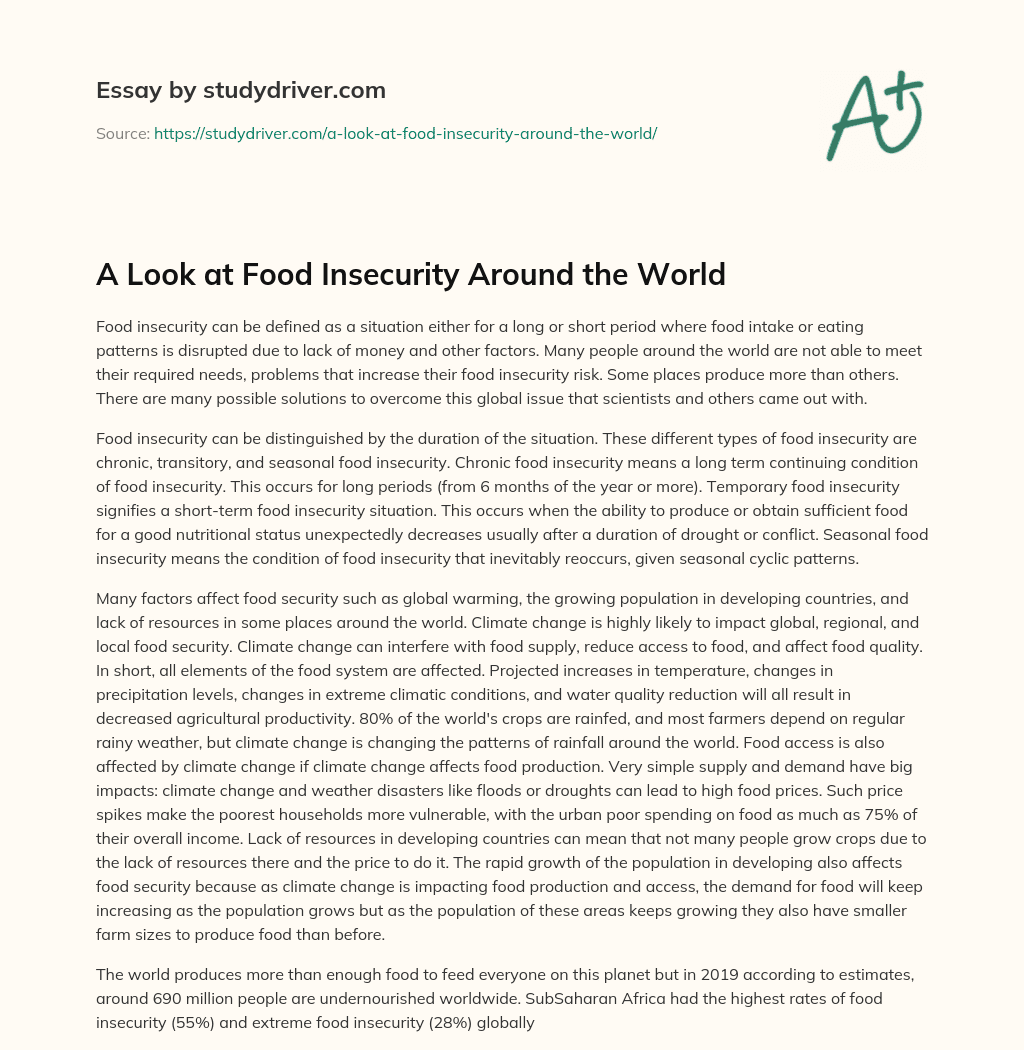 A Look at Food Insecurity Around the World essay