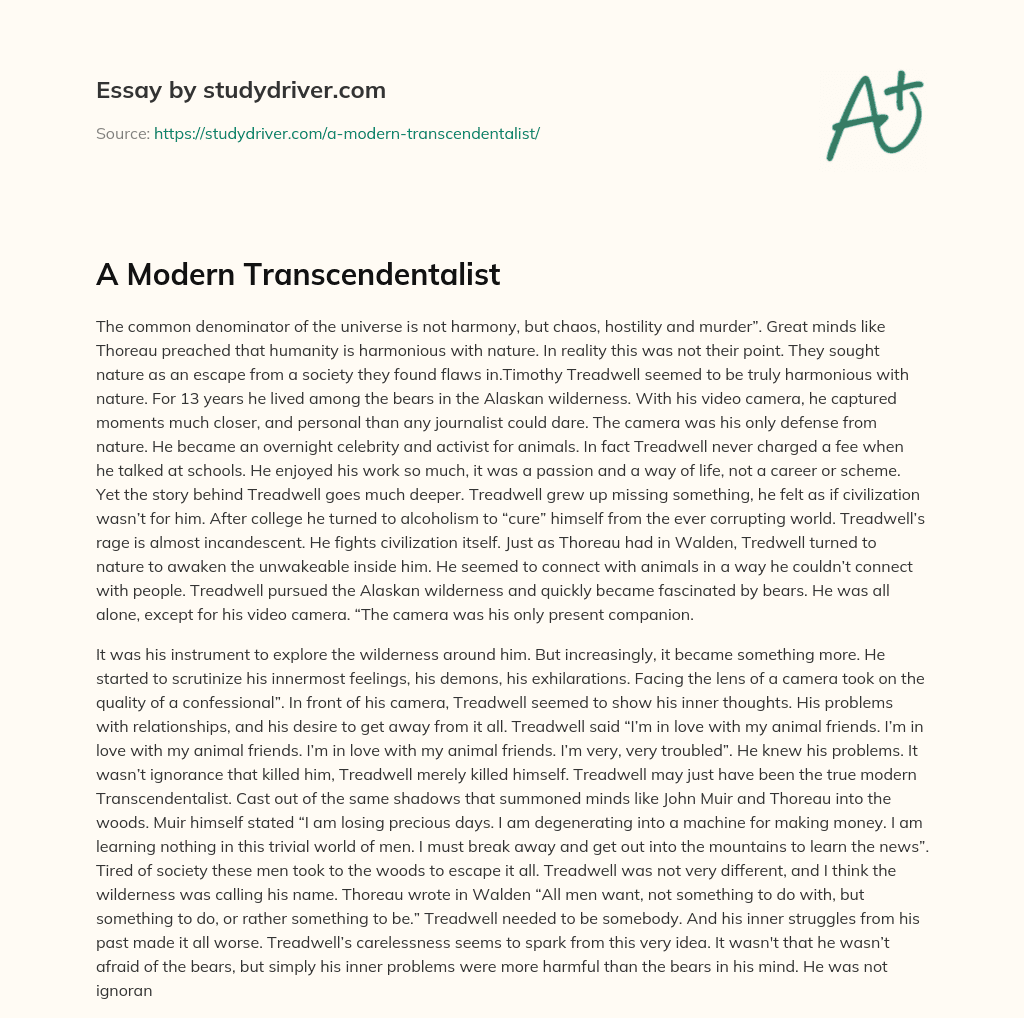 A Modern Transcendentalist essay