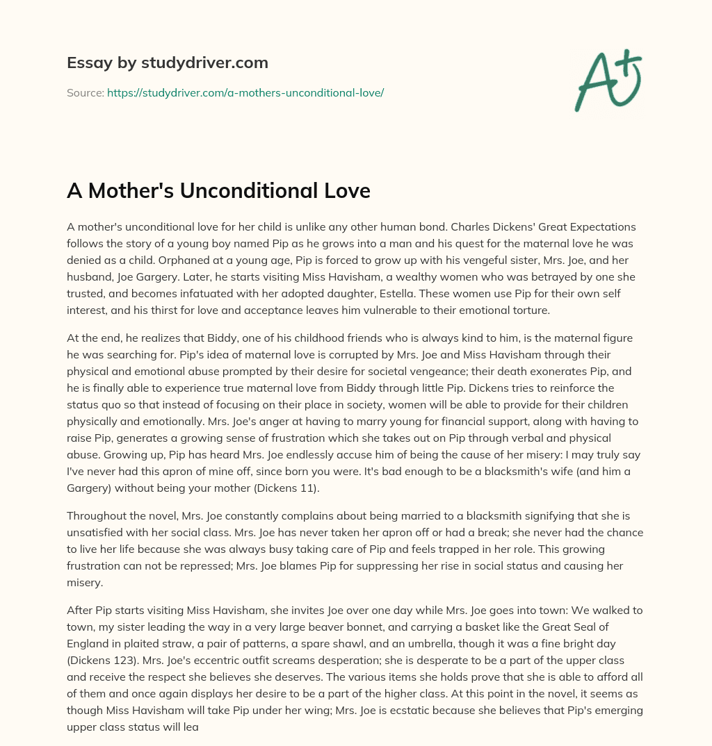 A Mother’s Unconditional Love essay