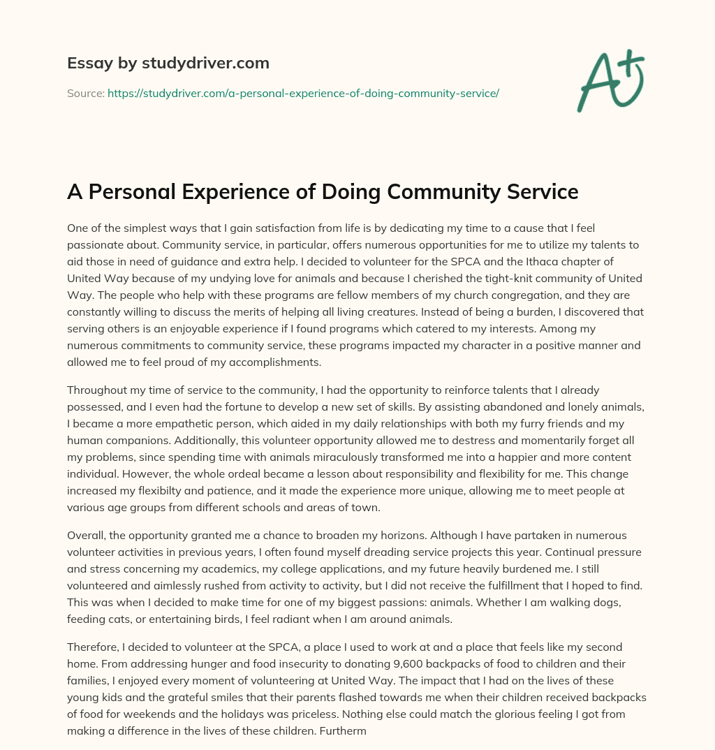 A Personal Experience of doing Community Service essay