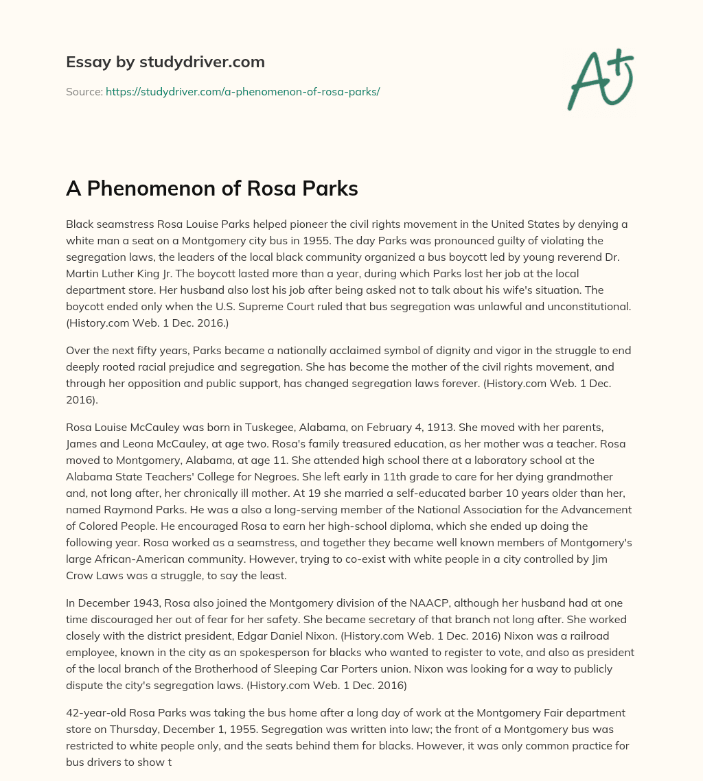 A Phenomenon of Rosa Parks essay