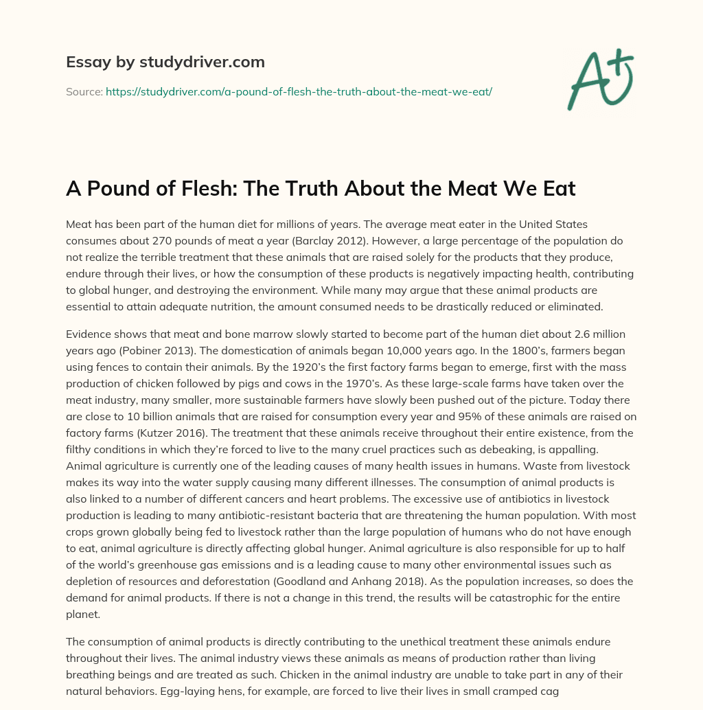 A Pound of Flesh: the Truth about the Meat we Eat essay