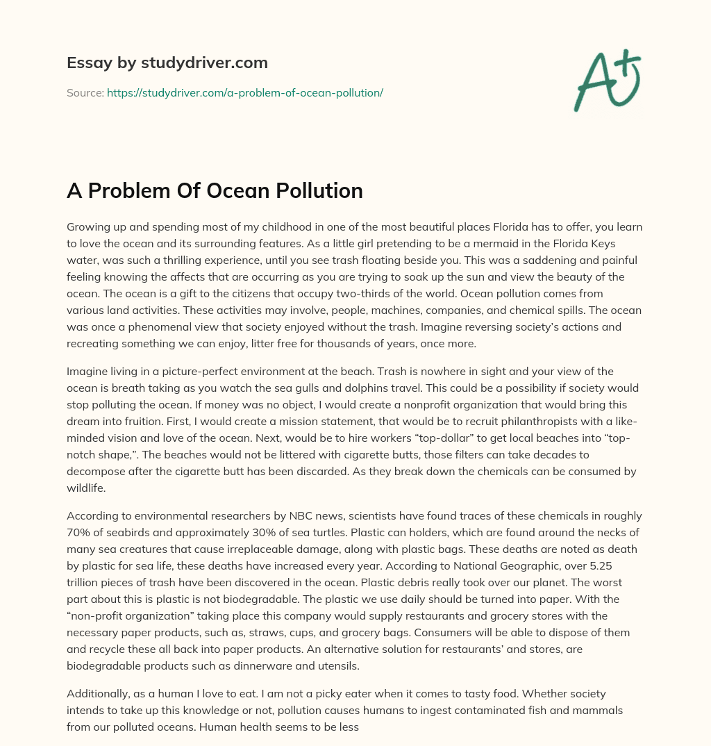 A Problem of Ocean Pollution essay