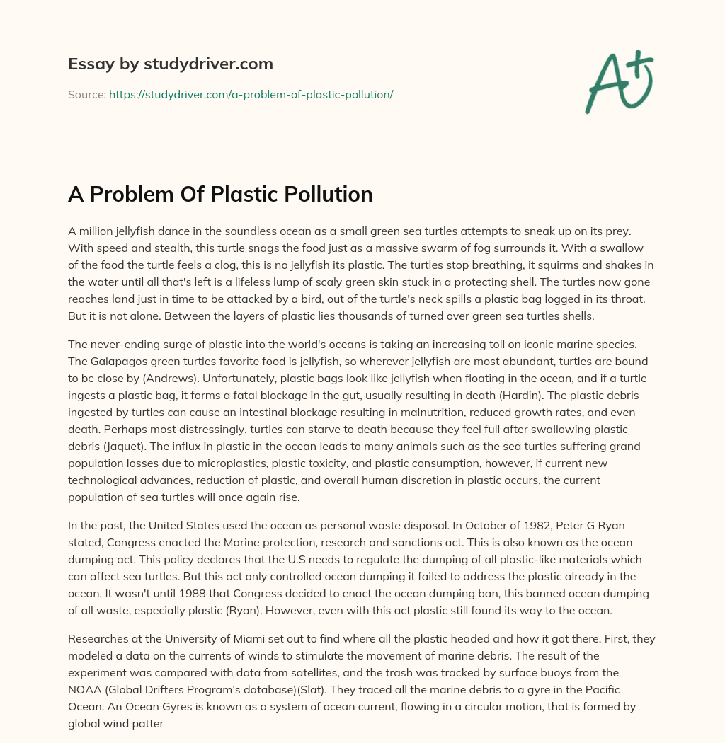 A Problem of Plastic Pollution essay