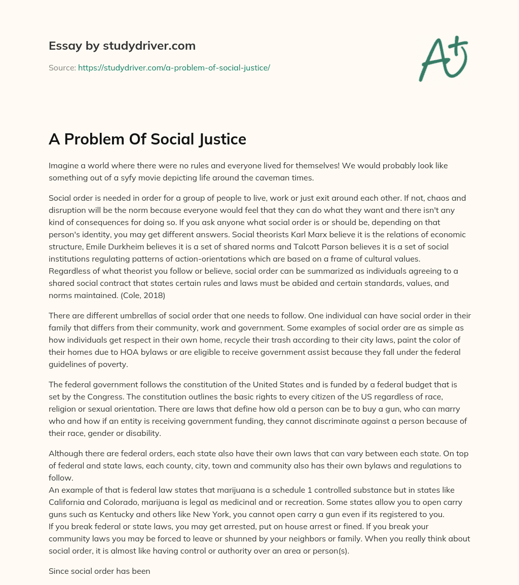 A Problem of Social Justice essay