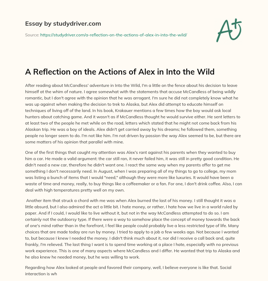 A Reflection on the Actions of Alex in into the Wild essay