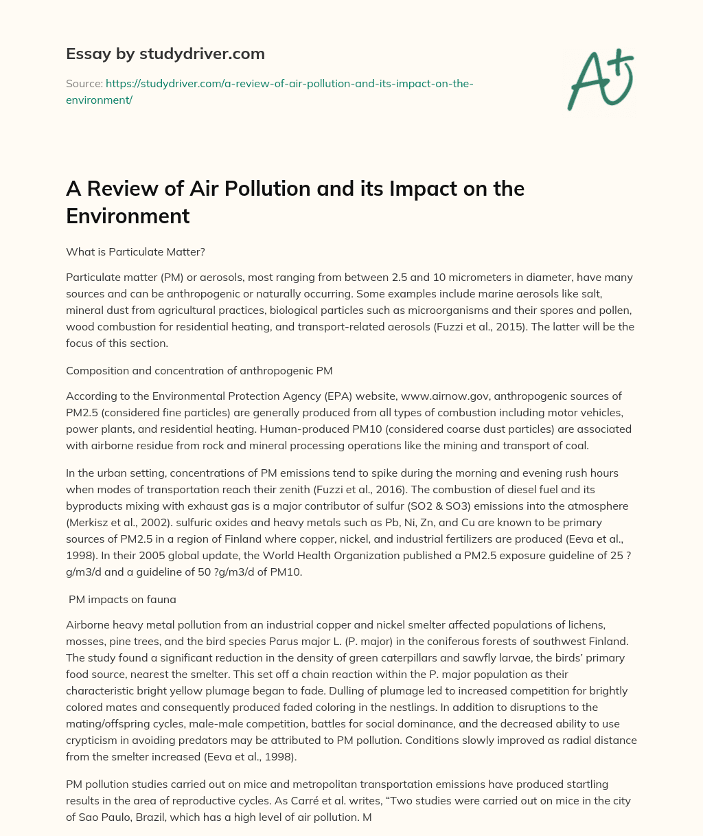 A Review of Air Pollution and its Impact on the Environment   essay