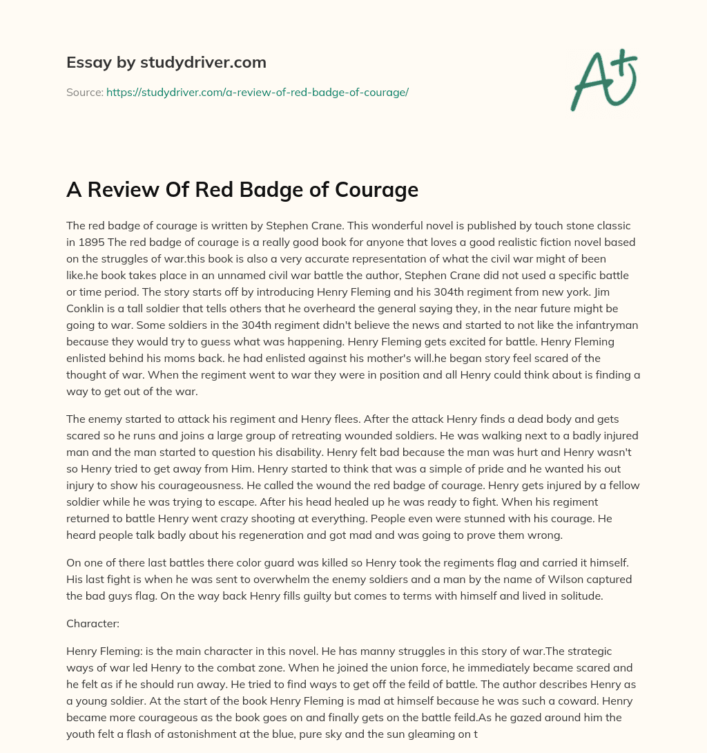 A Review of Red Badge of Courage essay