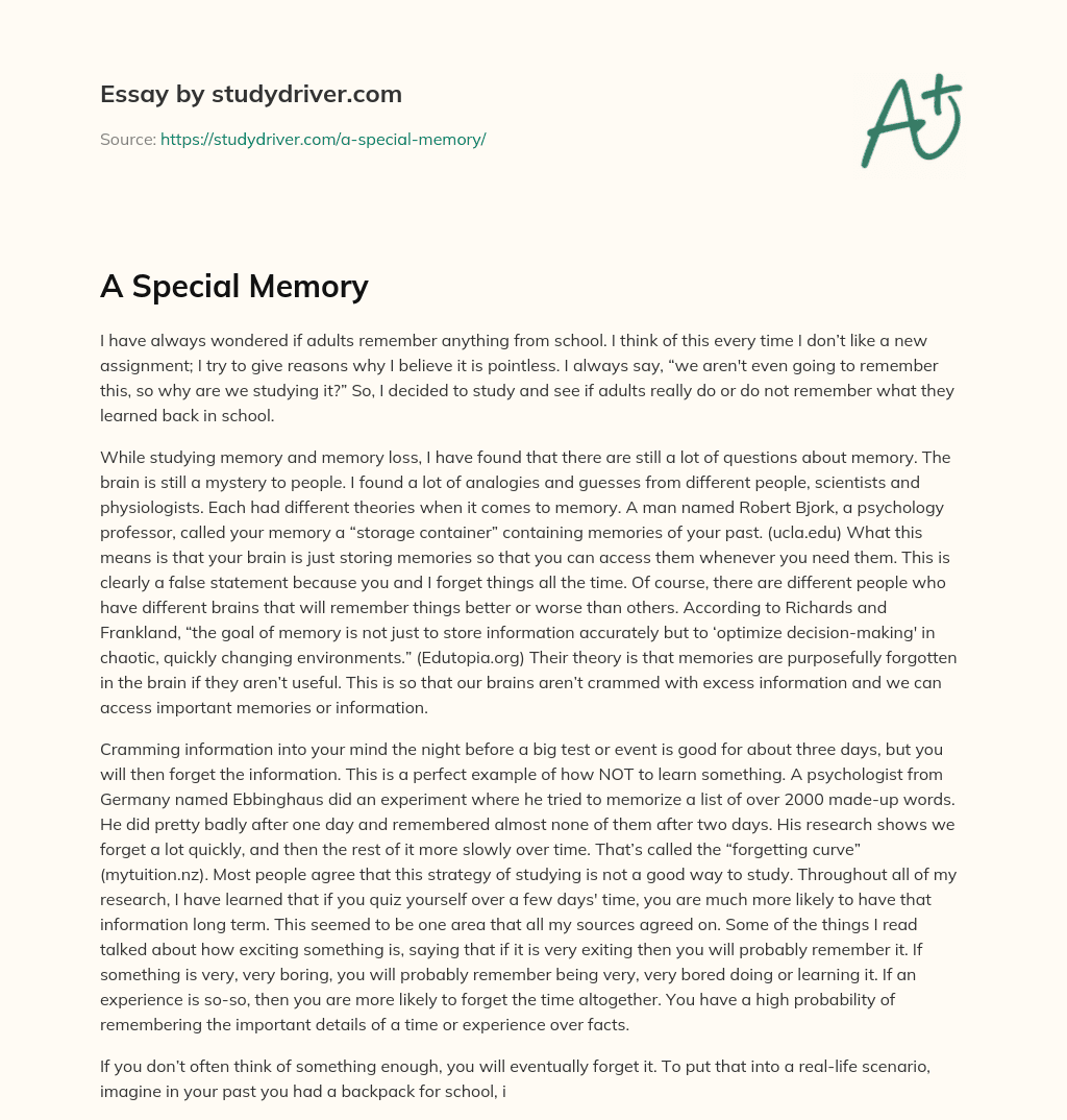 A Special Memory essay