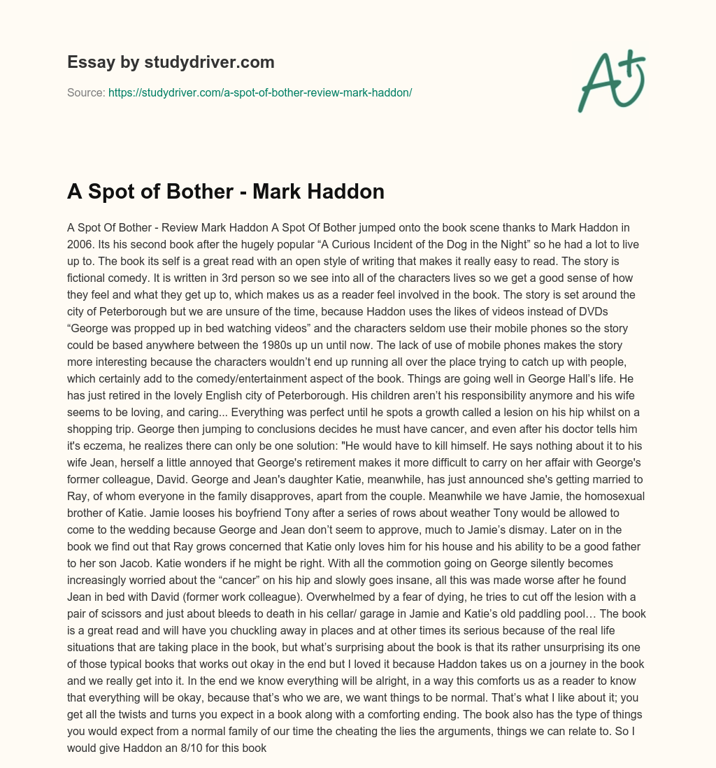 A Spot of Bother – Mark Haddon essay
