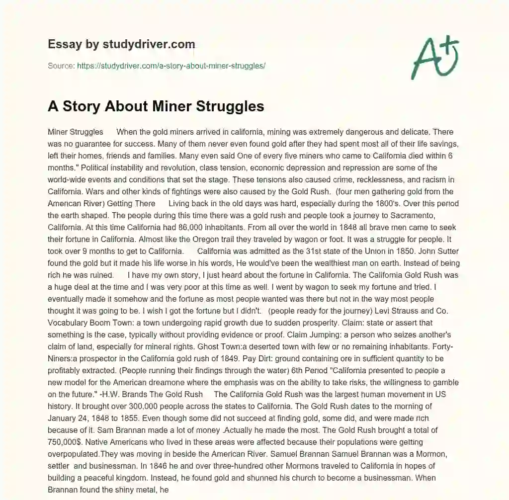 A Story about Miner Struggles essay