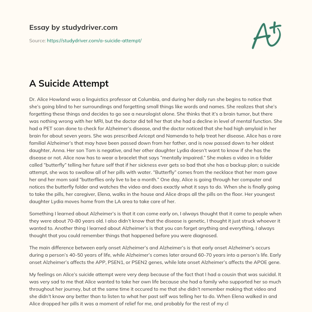 A Suicide Attempt essay