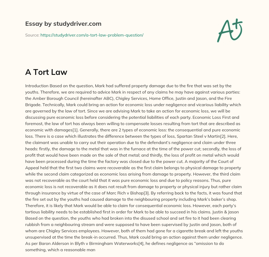 A Tort Law essay