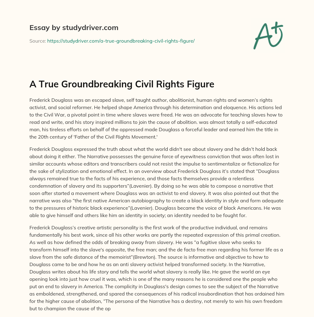 A True Groundbreaking Civil Rights Figure  essay