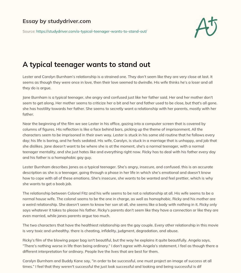 A Typical Teenager Wants to Stand out essay