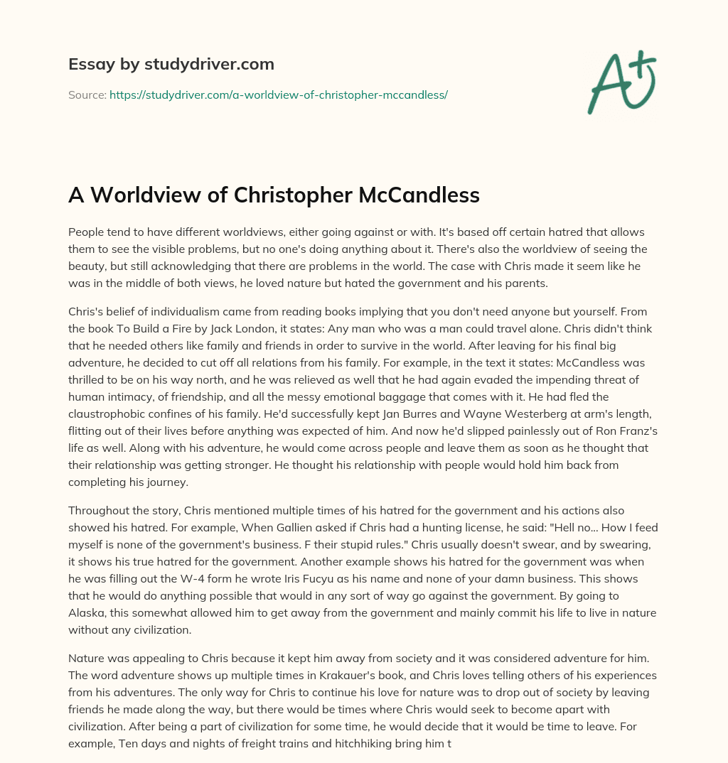 A Worldview of Christopher McCandless essay