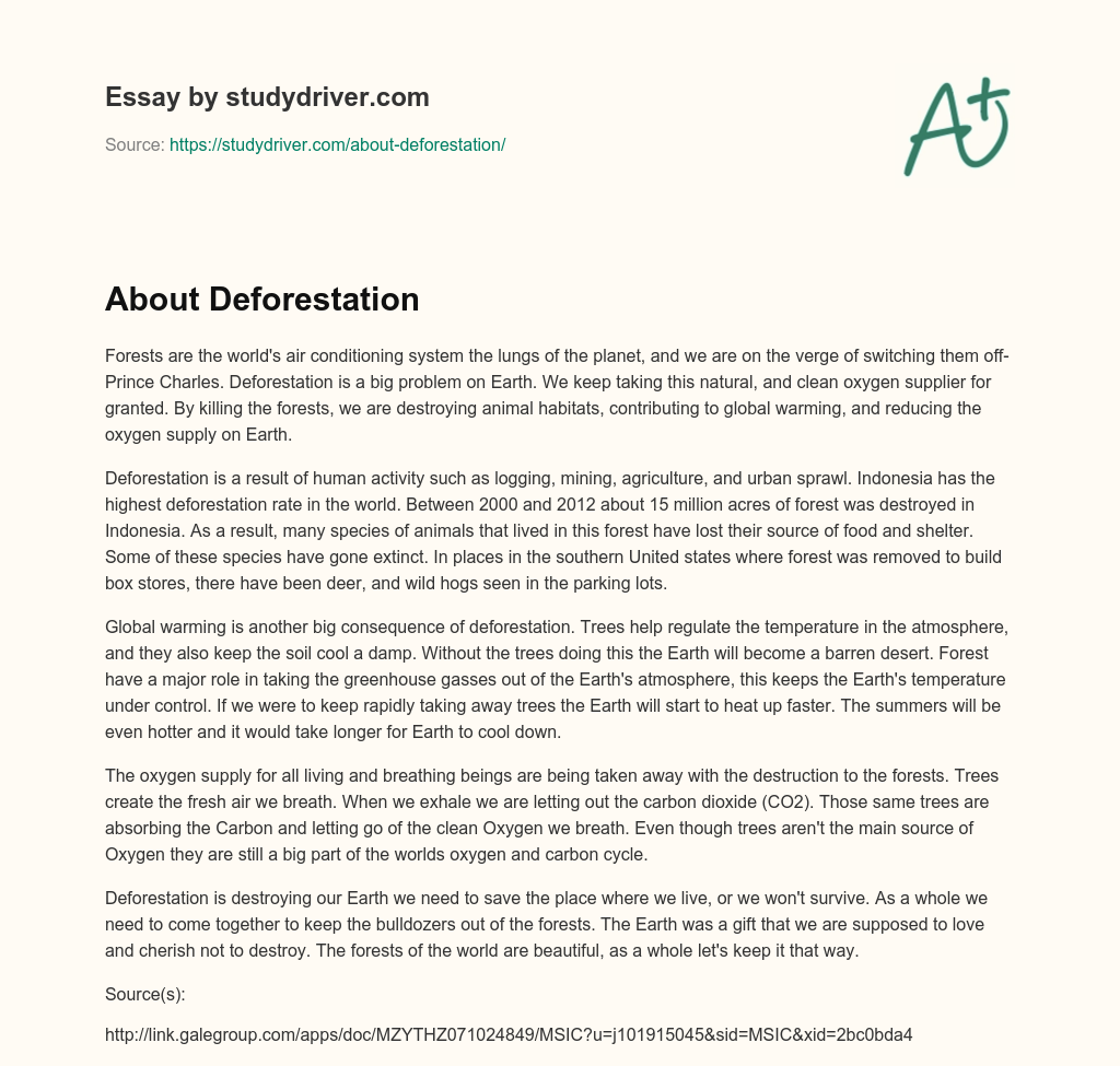 About Deforestation essay