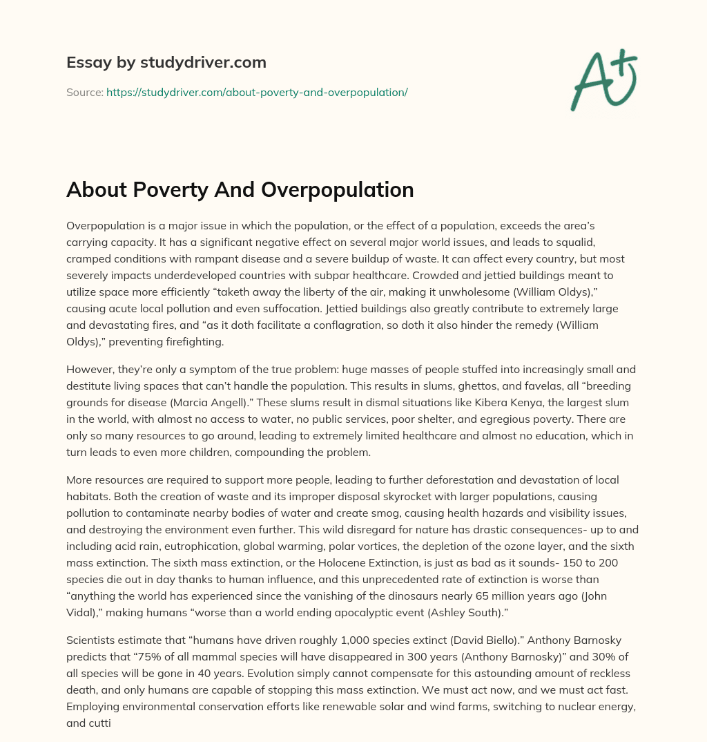 About Poverty and Overpopulation essay