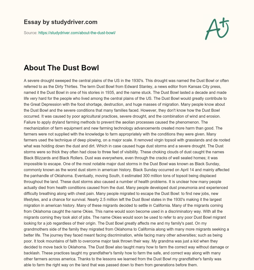 About the Dust Bowl essay