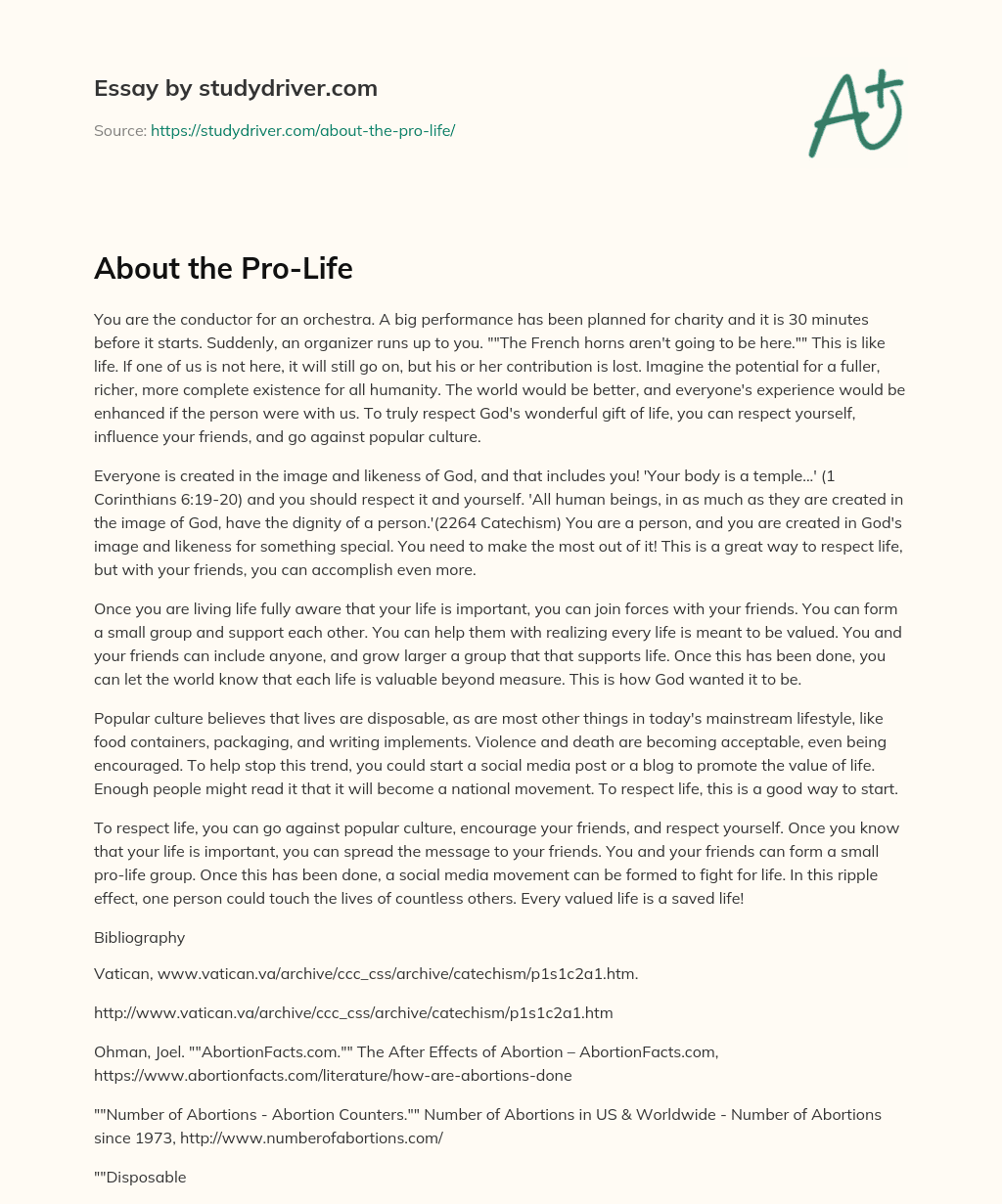 About the Pro-Life essay