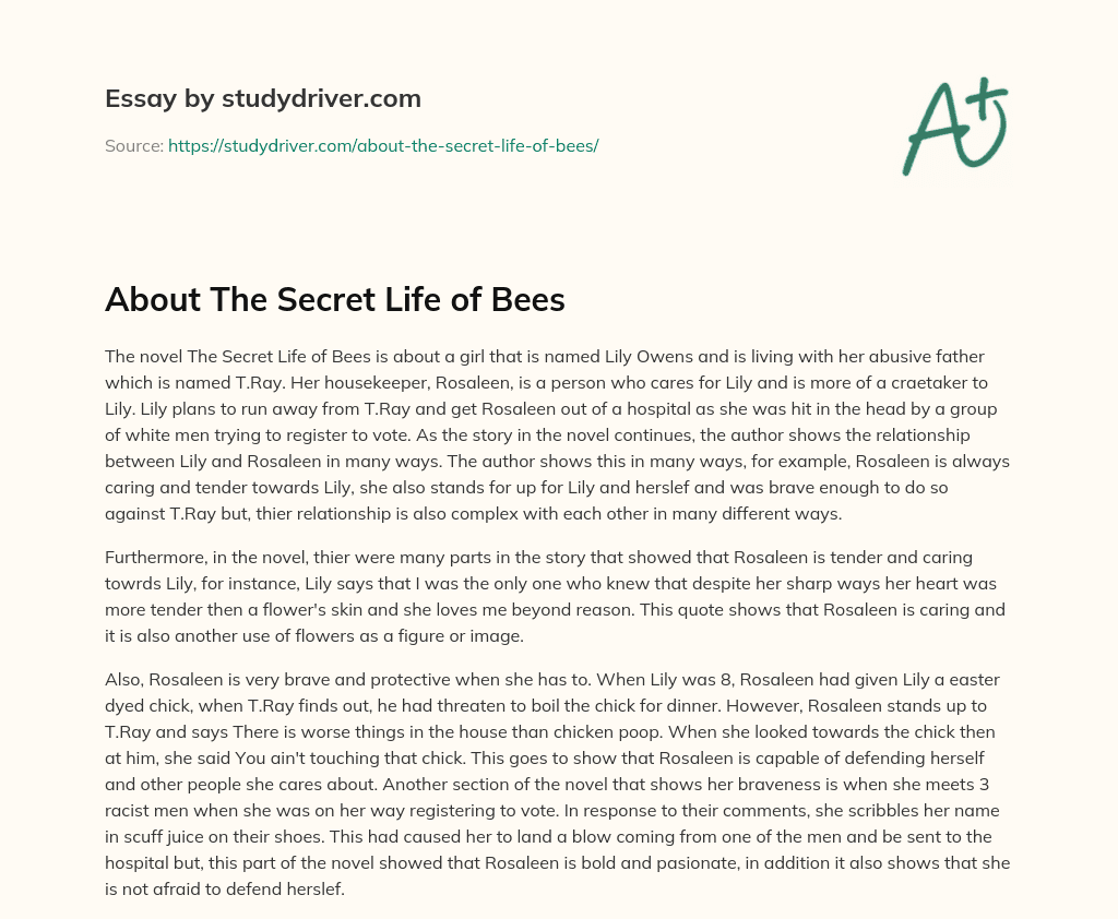 About the Secret Life of Bees essay
