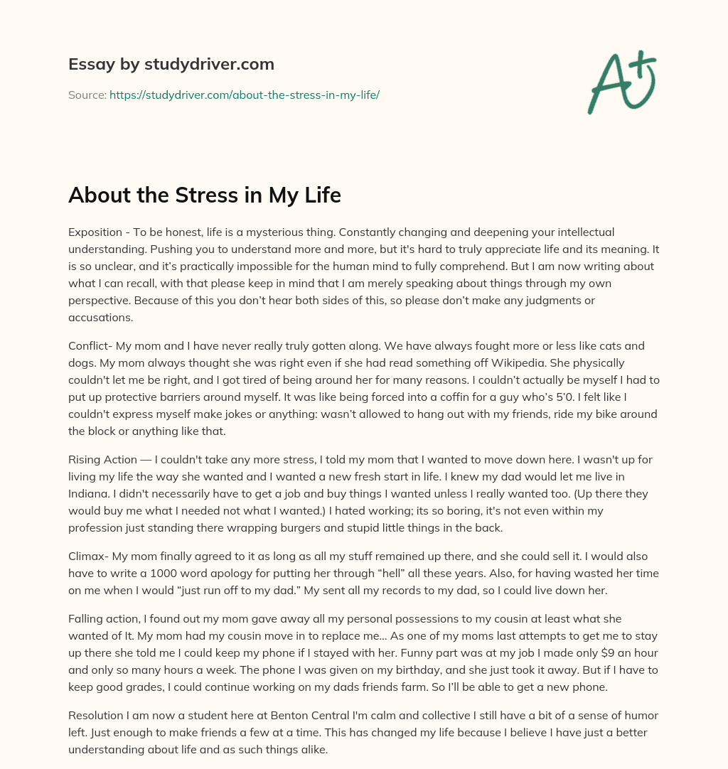 About the Stress in my Life essay