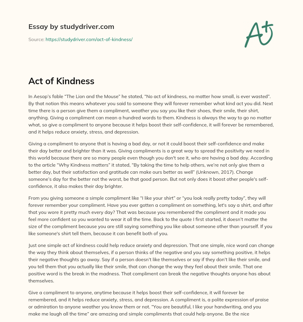 Act of Kindness essay