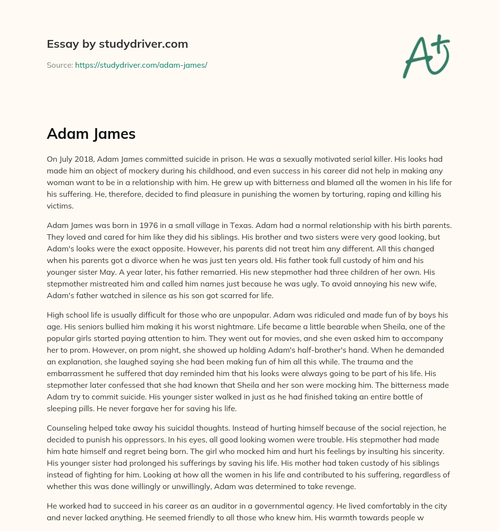 Adam James essay
