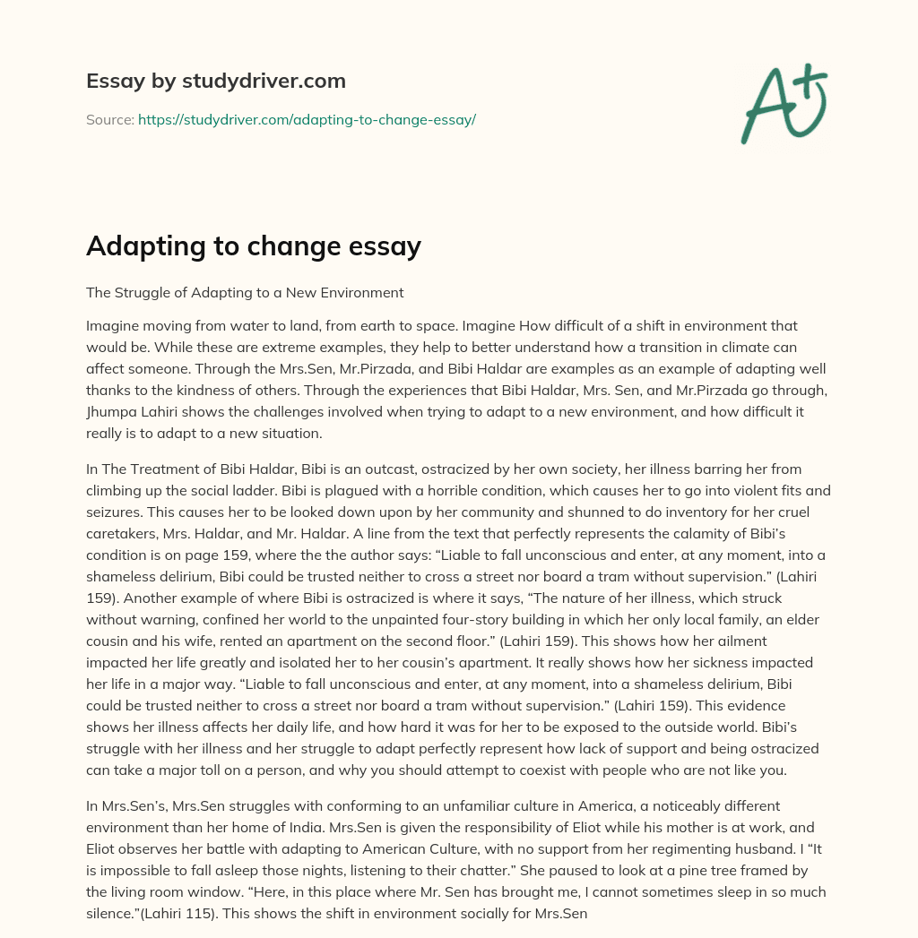 Adapting to Change Essay essay