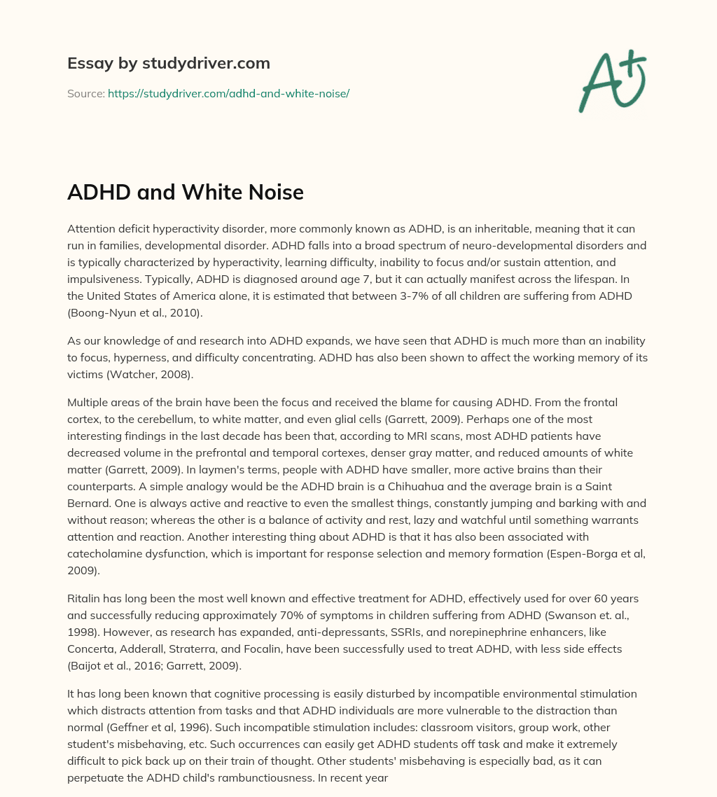 ADHD and White Noise essay