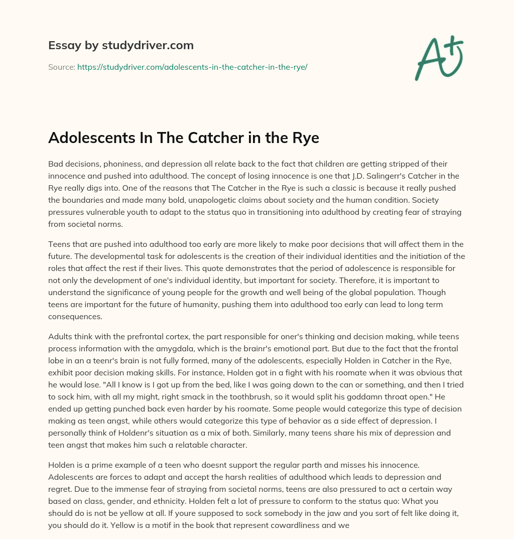 Adolescents  in the Catcher in the Rye essay