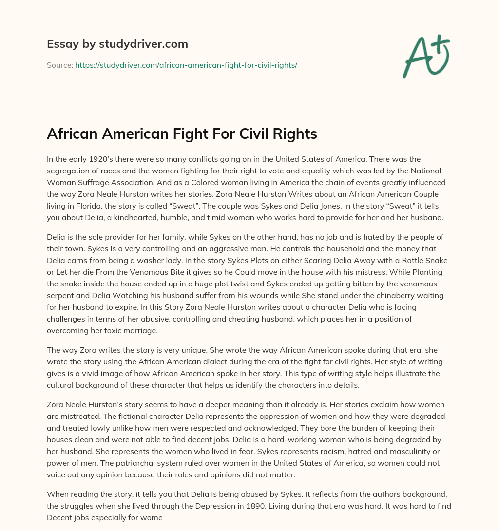 African American Fight for Civil Rights essay